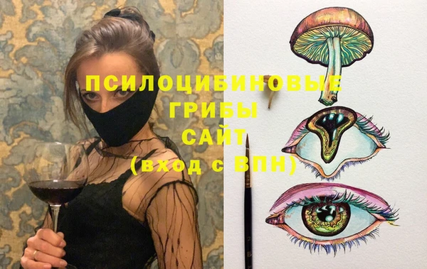 гидра Каменка