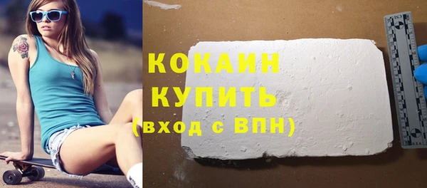 гидра Каменка