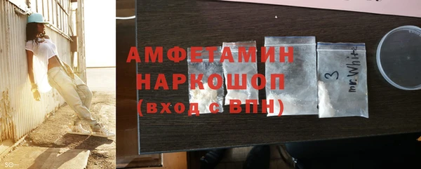 гидра Каменка