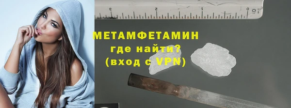 гидра Каменка