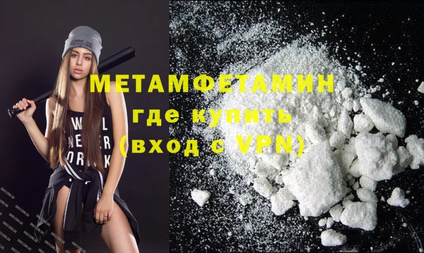 гидра Каменка