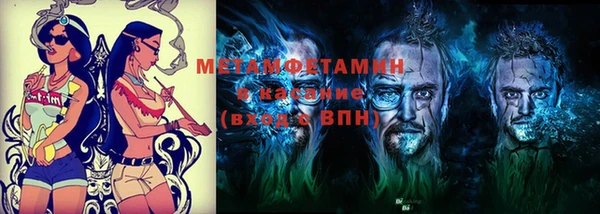 гидра Каменка