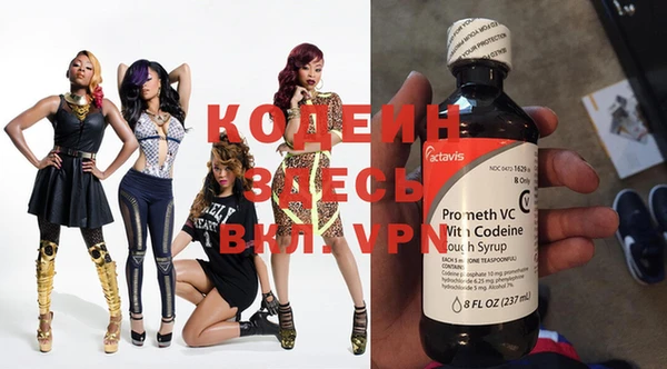 гидра Каменка
