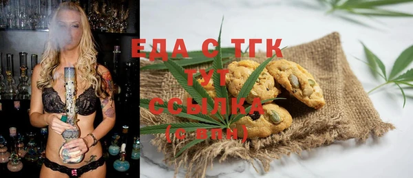 гидра Каменка