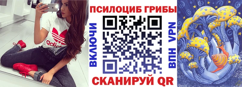 МЕГА   Краснокаменск  Псилоцибиновые грибы мицелий 