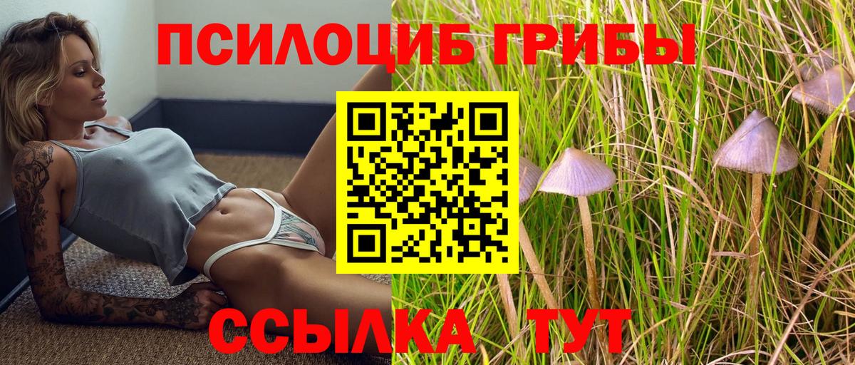 Краснокаменск  Галлюциногенные грибы Psilocybe  купить наркоту  Вход с VPN 